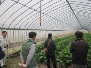 冬季の収入確保に向けた園芸導入の取組を現地視察