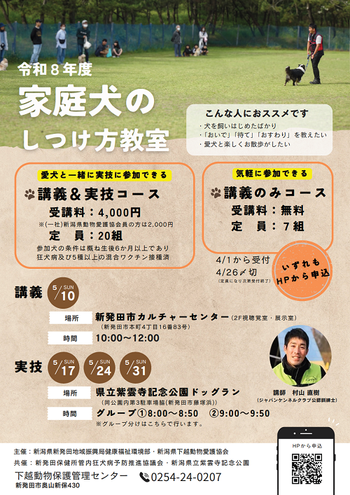 チラシイメージ