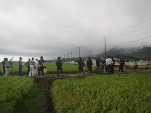 展示ほで生育状況を確認する参加者