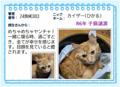 2024年　カイザー