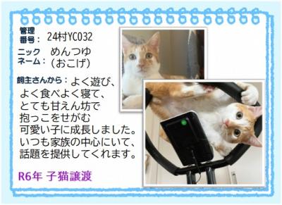 2024年 めんつゆ