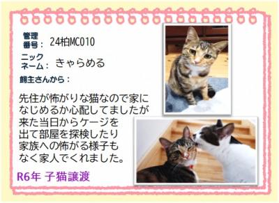 2024年　きゃらめる