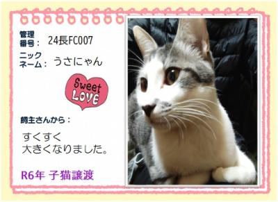 2024年　うさにゃん