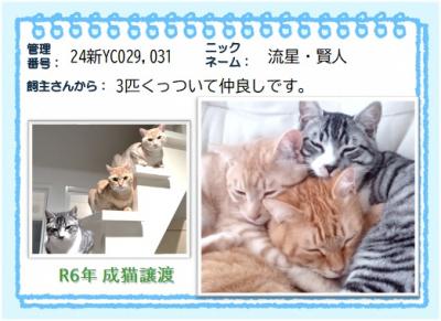 2024年 流星,賢人