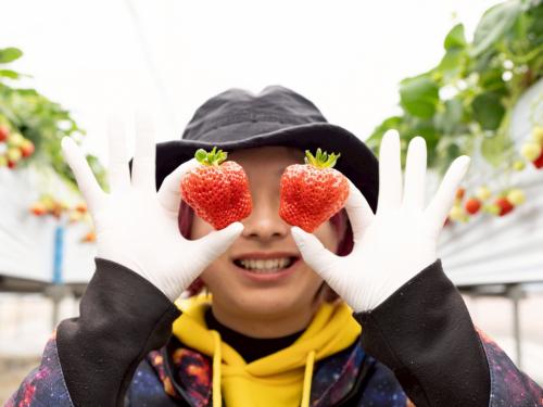 超大粒な越後姫