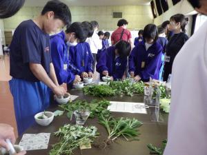 野草や草木を使ったワークショップの様子