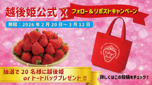 キャンペーンバナー