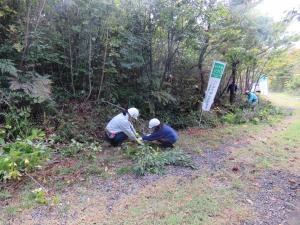 森林整備スタート1