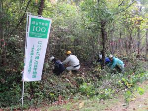 森林整備スタート2