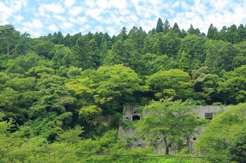  優秀賞「緑の中の遺跡」の画像