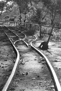 入選「光る鉄路」の画像