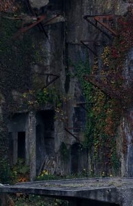 入選「時の流れ」の画像