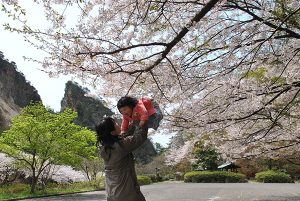 入選「桜の下の歓喜」の画像