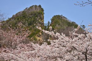 入選「花の道遊の割戸」の画像