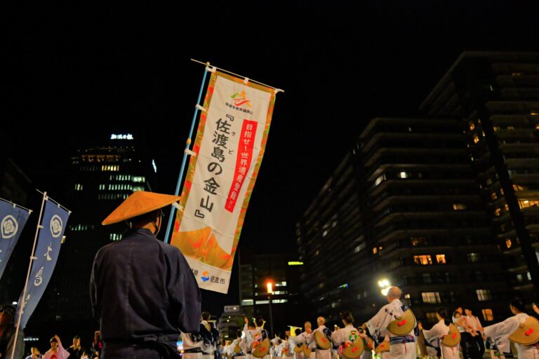 新潟まつり大民謡流しの画像5