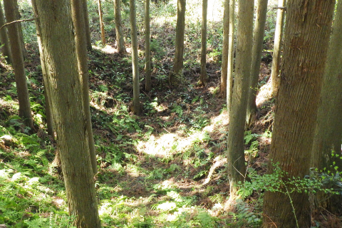 Small-scale mining site in early stageの画像