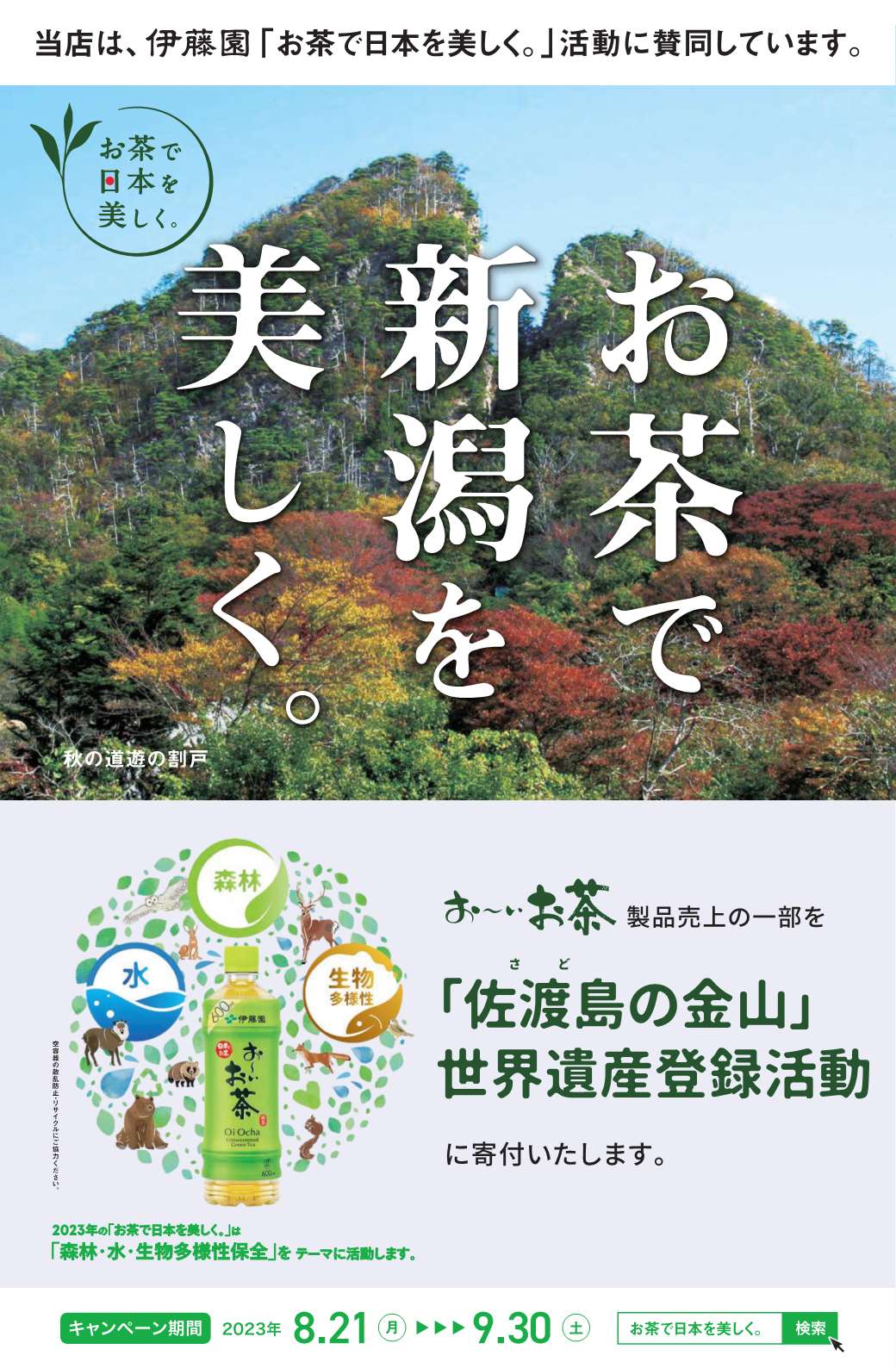 キャンペーンの画像