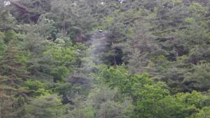 ドローン散布写真