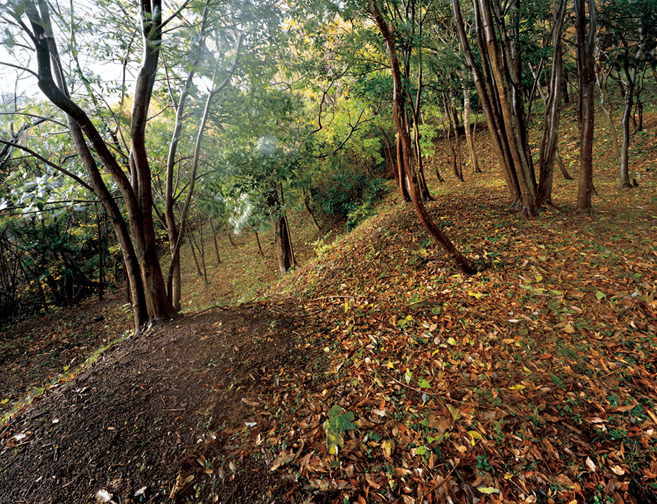 鶴子荒町遺跡の画像