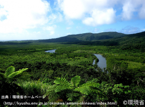 奄美大島、徳之島、沖縄島北部及び西表島の画像