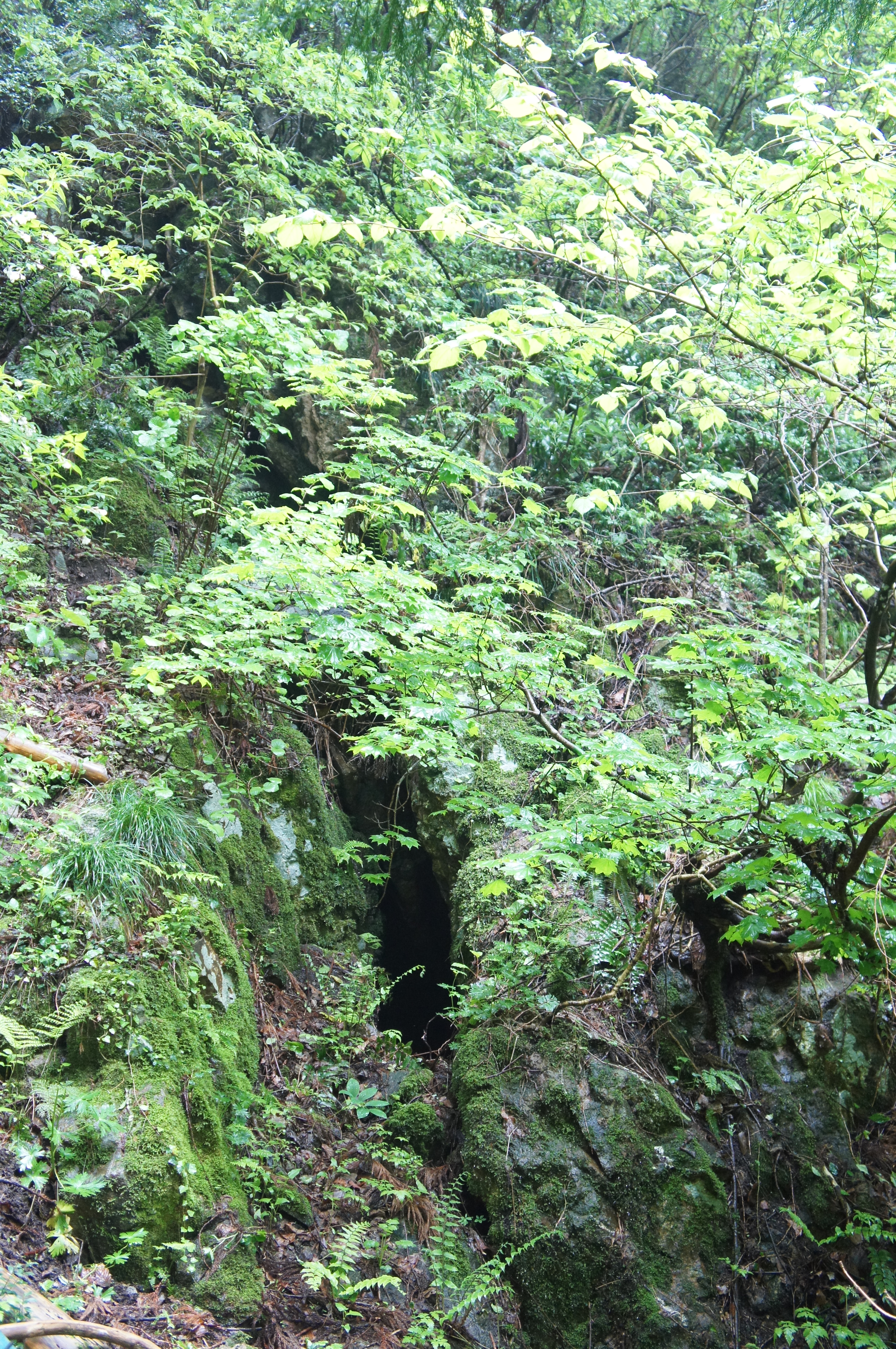 屏風沢地区のひ追い掘り跡の画像