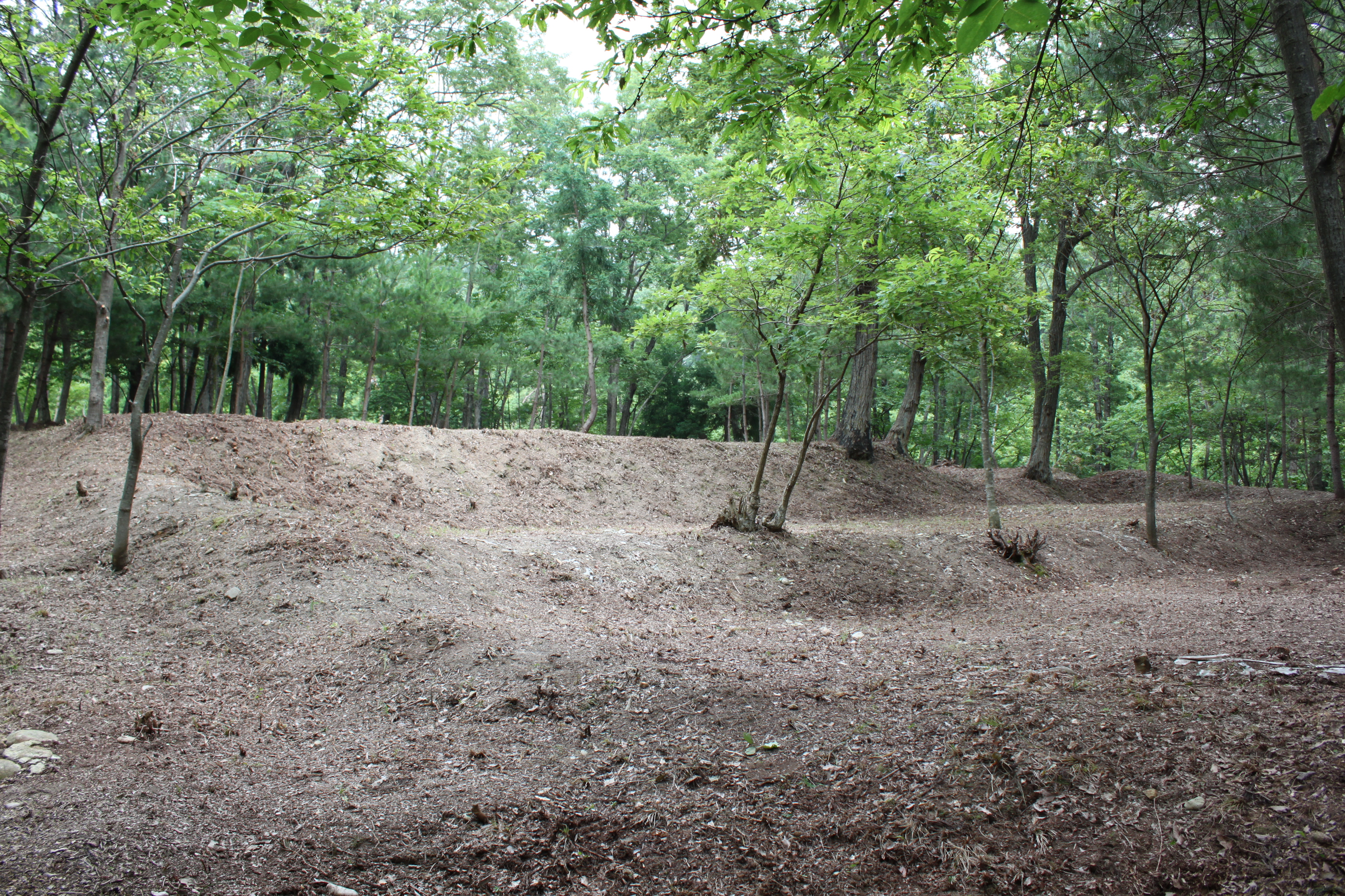 代官屋敷跡の画像