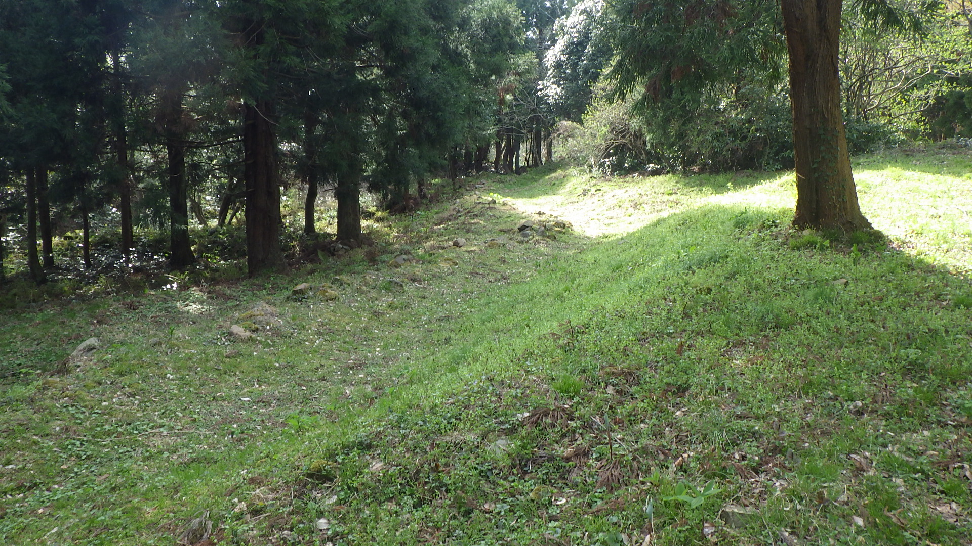 五社屋山（水路跡）の画像