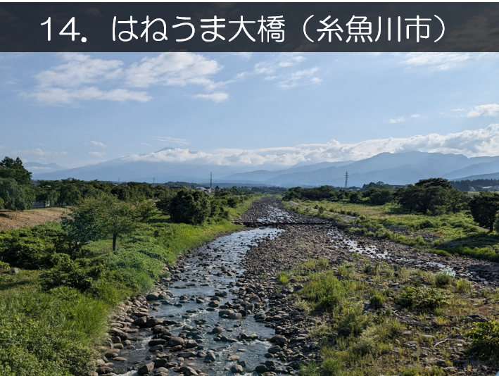 はねうま大橋