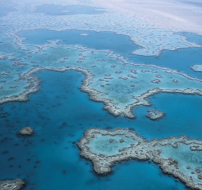 自然遺産の画像
