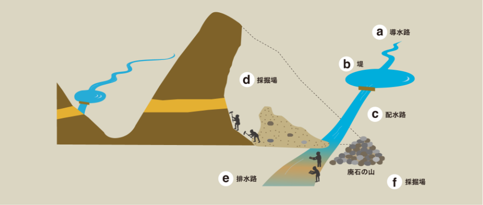 おおながしの画像