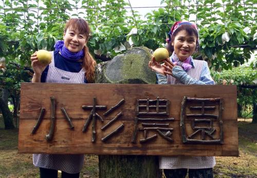 小杉農園