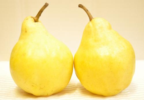 Pear Japan_