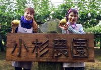 小杉農園(一覧)