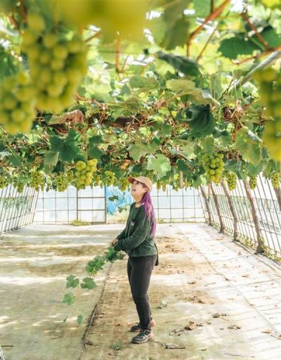 楽しそうな作業中の一枚