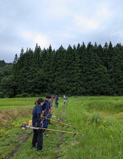 共同草刈り作業