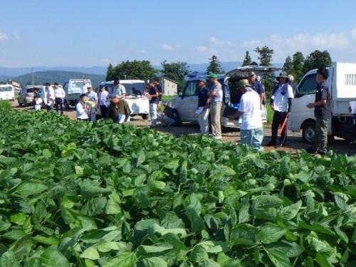 高温・干ばつ現地研修会
