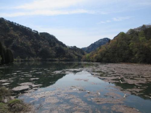 ダム構内より貯水池上流方向を望む