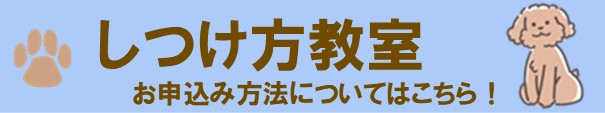 しつけ方教室（お申込み方法についてはこちら）