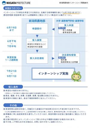 リーフレット裏