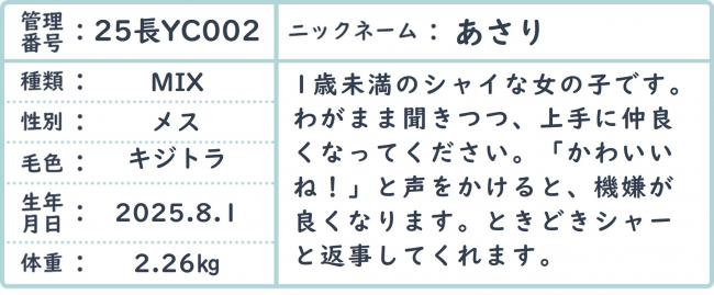 あさり