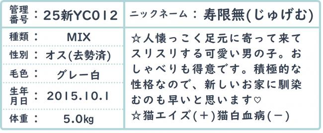 じゅげむ