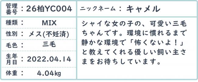 キャメル