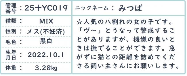 おみつ