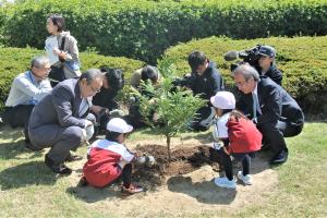 市町村の木の植樹（県庁前敷地）の画像