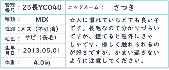 さつき
