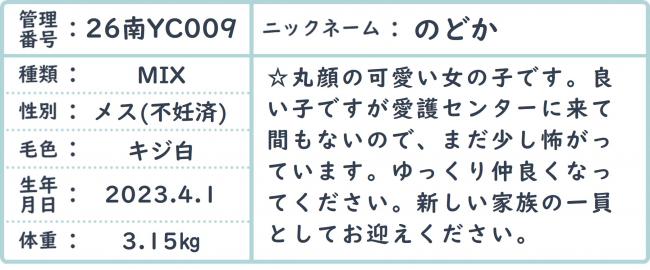 のどか