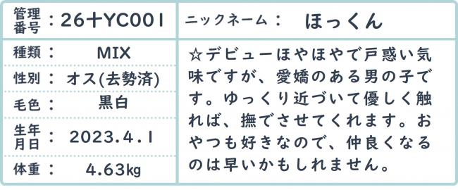 ほっくん