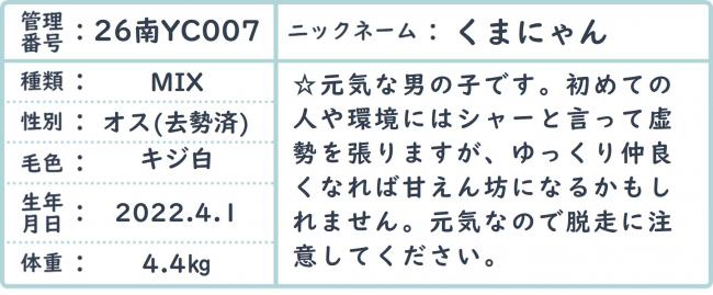くまにゃん
