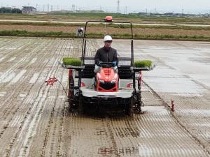 担当学生の田植作業