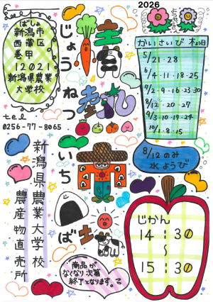 情熱市場